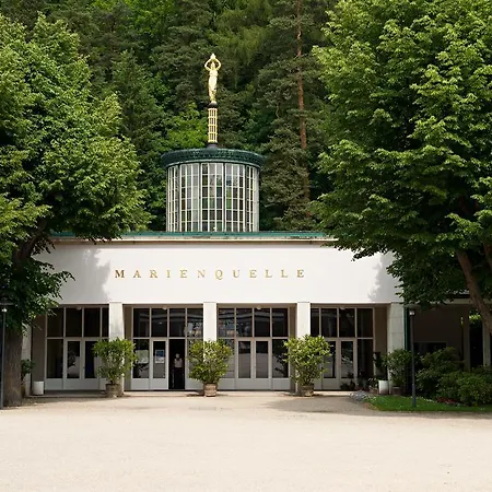 Отель Vitalhotel Weisse Elster Бад-Эльстер