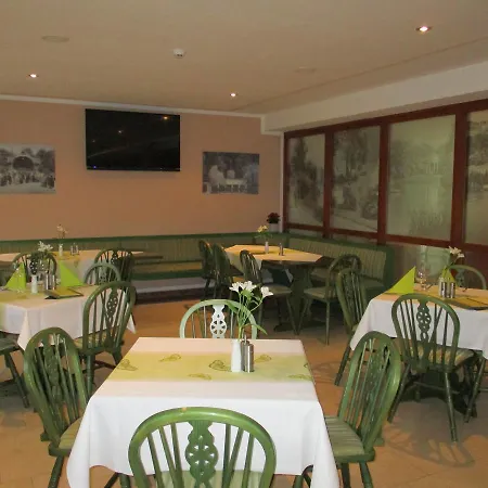 Vitalhotel Weisse Elster 3* Бад-Эльстер