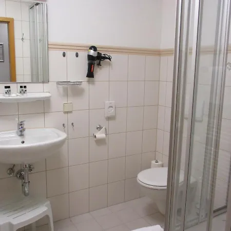 Отель Vitalhotel Weisse Elster 3*